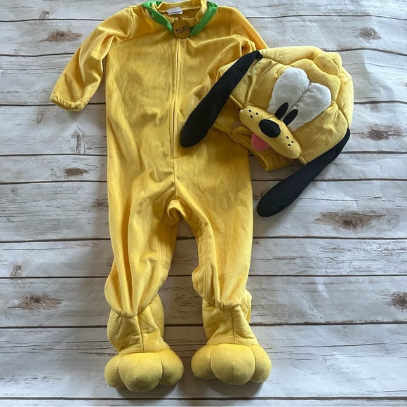 Disney Other - Disney Pluto costume